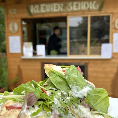 Kleiner Sendig Pinsa im Garten vom Parkhotel in Bad Schandau