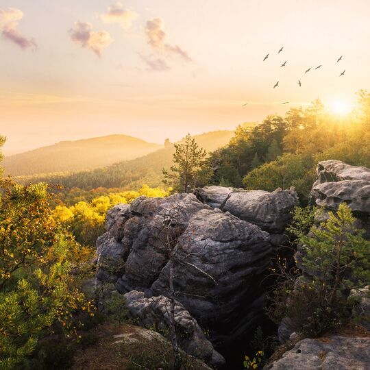 Sächsische Schweiz im Morgenlicht (Sonnenaufgang auf dem Gohrisch)